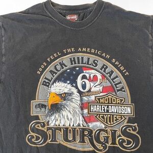 vintage 2002 harley davidson black hills rally tee